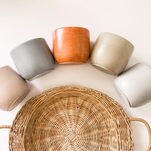 3” Cement Plant Pot / solid color