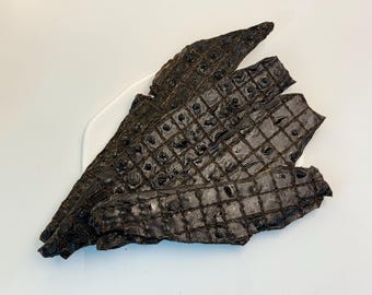 Dehydrated Beef Liver Dog Treats: All Natural, High-Protein Dog Chew