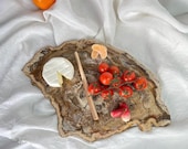 Petrified Wood Serving Board | Large Fossilized Wood Slab Tray | Natural Stone Cheese Board | Rustic Organic Decor | Earthy Kitchen Accent