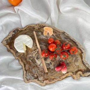 Petrified Wood Tray Large - Etsy