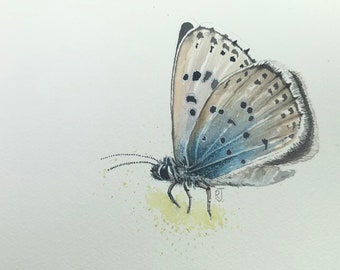 10x7 inch butterfly watercolour original.