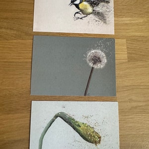 10 cartes postales mixtes A6 imprimées à partir d'aquarelles originales