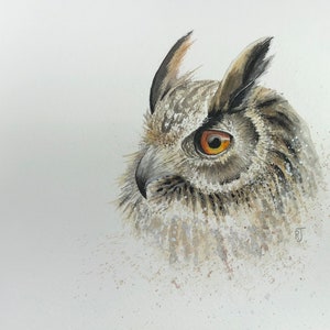 A4 original watercolour Owl