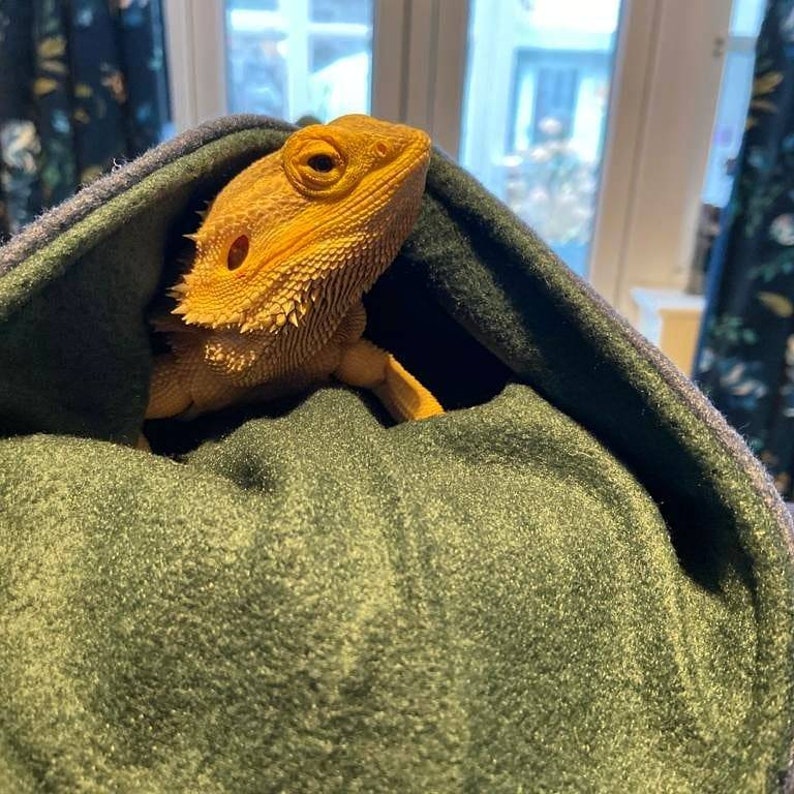 Beardie Snuggle Bearded Dragon Carrier Snuggle Fleece Etsy
