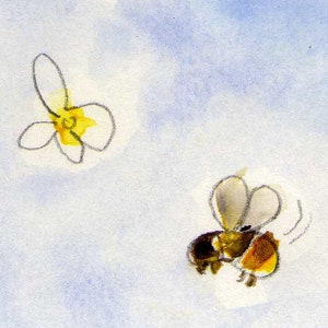 May include: A watercolor painting of a bee with its wings spread out and a yellow flower with a white outline.