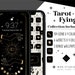 Tarot-Fying | 416+ Multi Color iPhone iOS14 App Icons | 24 Widget Icons | 3 custom iPhone Wallpaper Designs | Halloween iOS14 Icon Pack 