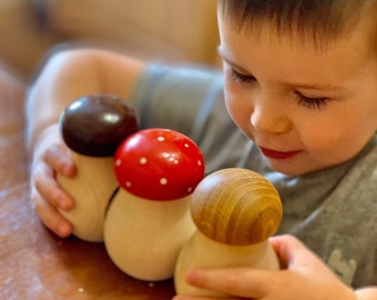 Wooden Toy Mushroom/Mushroom Toy with Screw