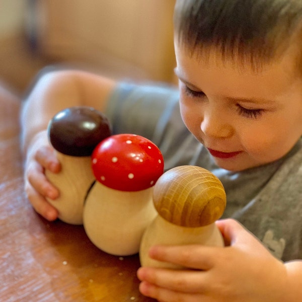 Wooden Toy Mushroom/Mushroom Toy with Screw