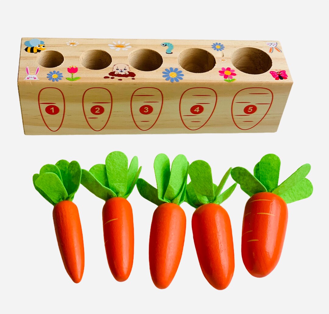 Educational Carrot Toy, Montessori Style Gift, Wooden Educational Sorter Etsy