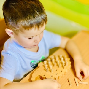 Fine Motor Skills, Montessori Toys
