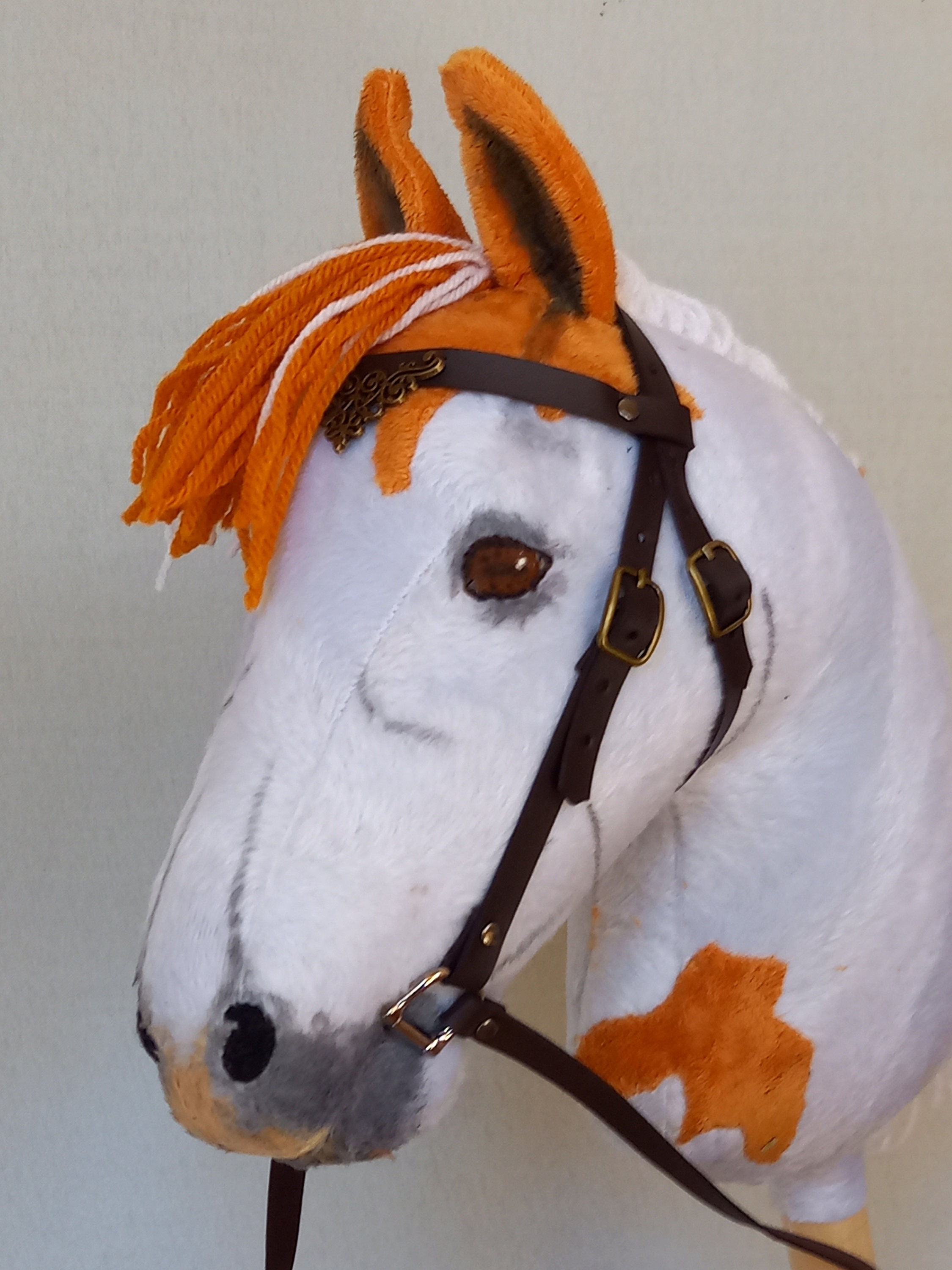 Hobbyhorse, Hobby Horse quarter, Whitepiebald, With Brown Eyes, With