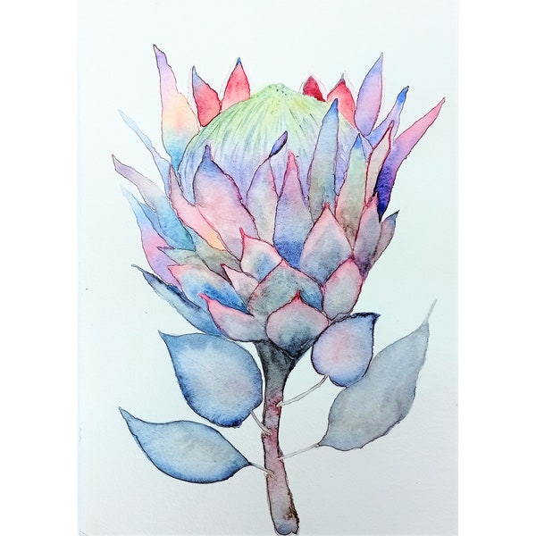 Protea Plant Painting Original Botanic Watercolor Floral Painting Wall Art A 4/210 by 297 mm Artwork Home Wall Art By Filipchenko Viktoriya.