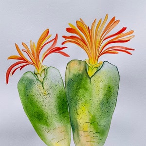 Fioritura pianta di cactus pittura originale botanico acquerello pittura floreale parete Arton carta formato A3 opere d'arte Home Wall Art di Filipchenko V.