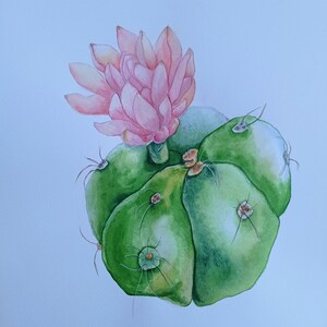 Fioritura pianta di cactus pittura originale botanico acquerello pittura floreale parete Arton carta formato A3 opere d'arte Home Wall Art di Filipchenko V.