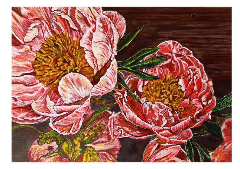 May include: Close-up of three pink peonies with yellow centers, painted on a dark brown background.