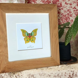 Solaris Butterfly ILLUSTRATION