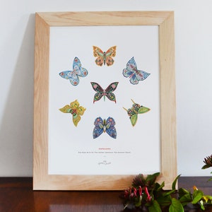 Poster Watercolor Butterflies