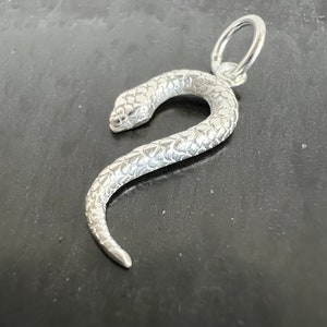 Op de afbeelding: Een zilveren slangenhanger met een getextureerd oppervlak. De hanger heeft een lus aan de bovenkant om aan een ketting of armband te bevestigen.