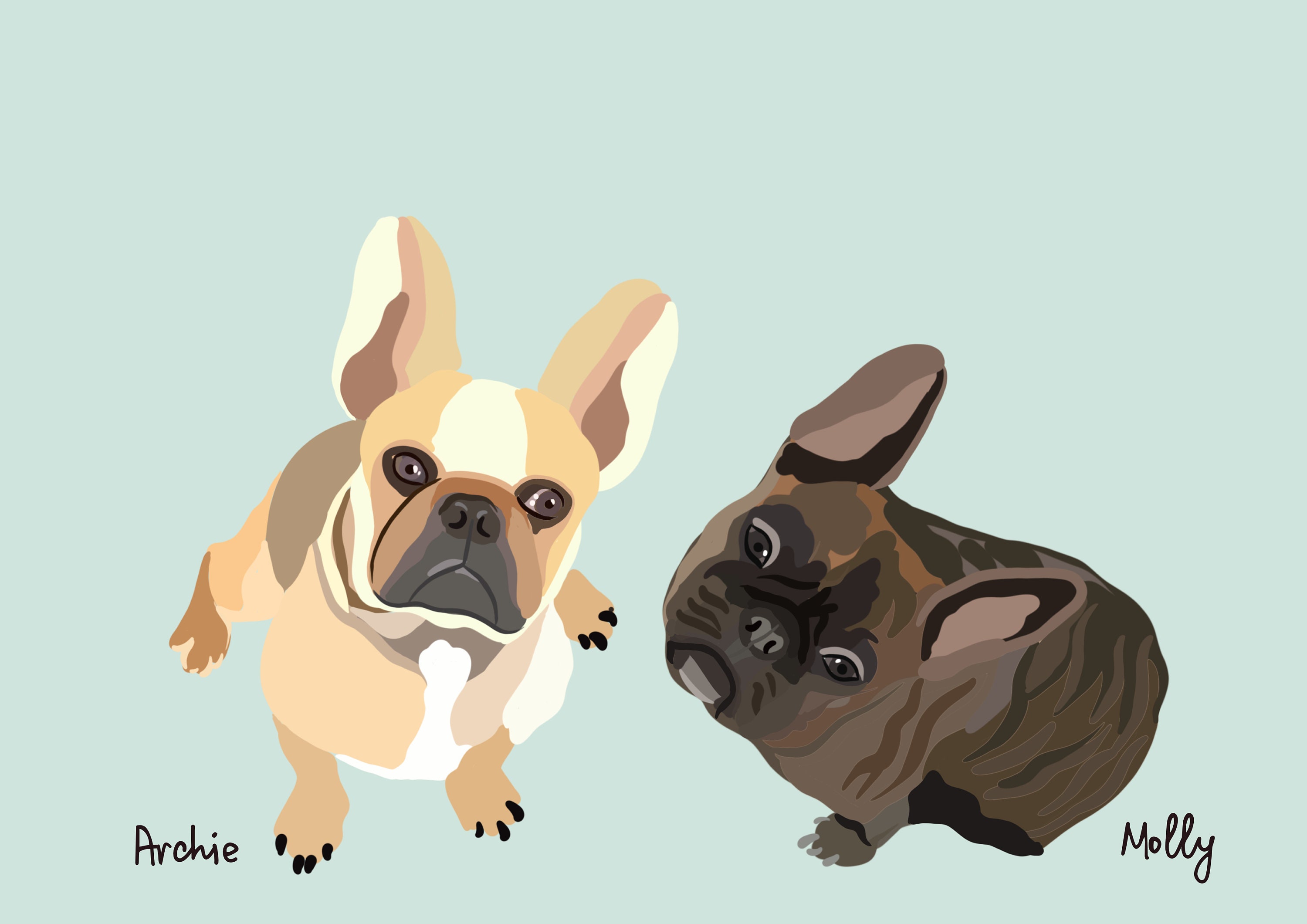 Custom Pet Illustration Pet Digital Portrait Personalised Etsy Australia