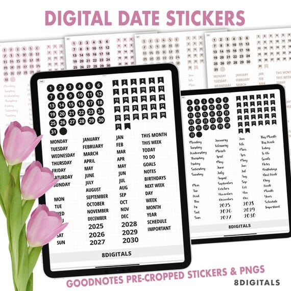 Digital Stickers Dates, Digital Planner Dates Days Months Stickers, Goodnotes Stickers, Ipad stickers Precropped PNG 2025 2026 Numbers Years