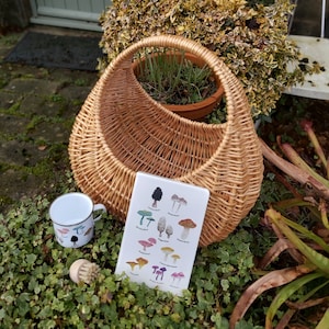 Veganistische extra grote foerageerset, natuurlijke wilgenmand met open bovenkant, champignonborstel, champignons van de Britse aquarelmok en dagboek