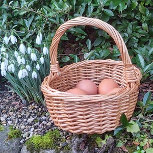 May include: A light brown wicker basket, filled with brown eggs, sits amongst greenery and snowdrop flowers. The basket has a woven handle. The eggs are a natural brown colour. The basket is made of woven material.
