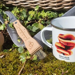 May include: A white enamel mug with a red and orange mushroom illustration and the text "Velvet shank Flammulina velutipes". The mug is sitting on a bed of green moss with a wooden brush and a wooden tool with a metal blade.