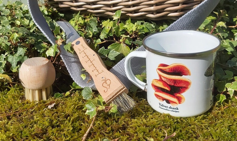 May include: A white enamel mug with a red and orange mushroom illustration and the text "Velvet shank Flammulina velutipes". The mug is sitting on a bed of green moss with a wooden brush and a wooden tool with a metal blade.