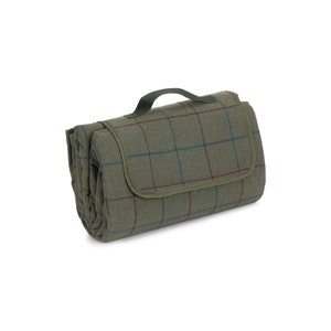 May include: Folded green picnic blanket with a handle. The blanket has a plaid pattern with red and blue lines. The handle is dark green. The blanket is rolled up and ready to be carried.