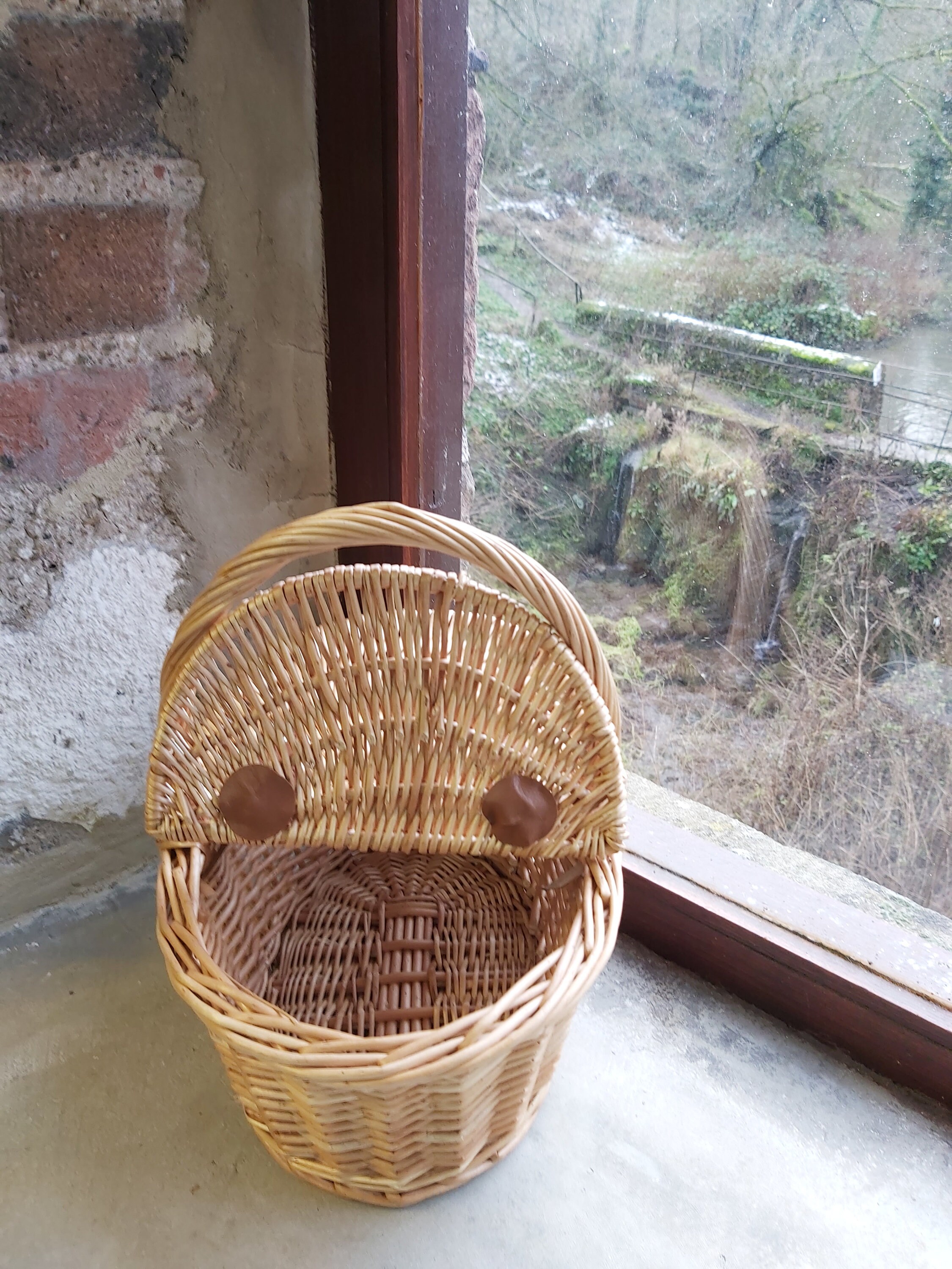 Personalisable Childs Mushroom Foraging Basket Small Foraging Etsy UK