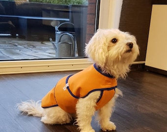 Manteau pour chien pour petits amis à quatre pattes en softshell dans toutes les tailles et différentes couleurs, imperméable, coupe-vent, léger