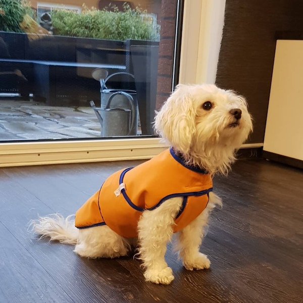 Hundemantel für kleine Vierbeiner aus Softshell in allen Größen und verschiedenen Farben, wasserdicht, winddicht, leicht