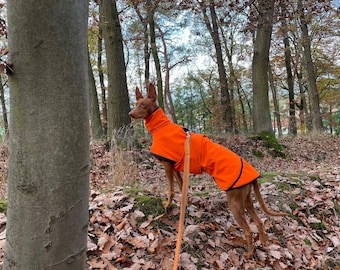 Abrigo para perros fabricado en softshell, impermeable, cortavientos con suave forro polar en el interior en cinco colores diferentes y en todos los tamaños.