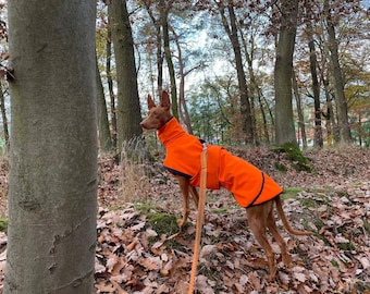 Manteau pour chien en softshell, imperméable et coupe-vent avec un intérieur en polaire douce en cinq couleurs différentes et toutes tailles