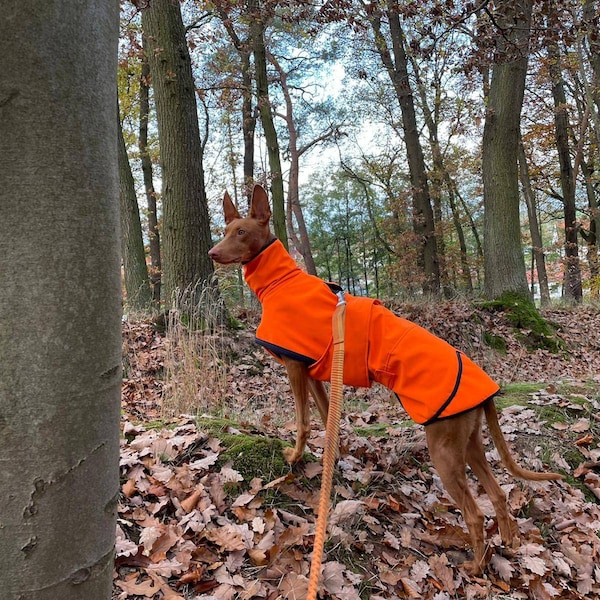 Hundemantel aus Softshell, wasserdicht, winddicht mit weicher Fleeceinnenseite in fünf verschiedenen Farben und allen Größen