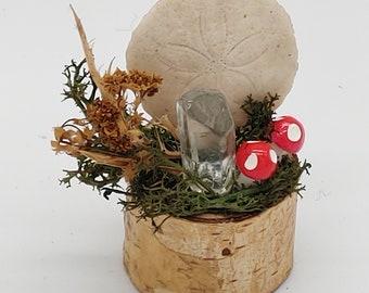 I Adorable Miniature Naturalist Magical Display
