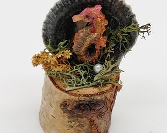 I Adorable Miniature Naturalist Magical Display