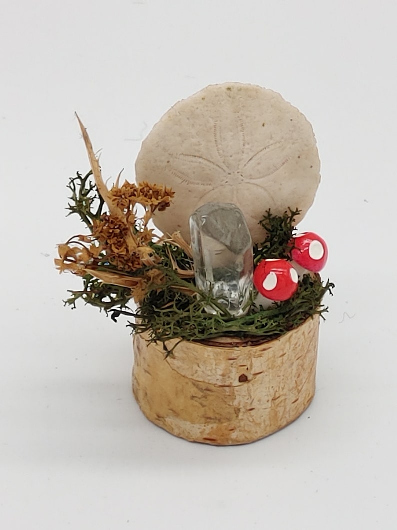 I Adorable Miniature Naturalist Magical Display