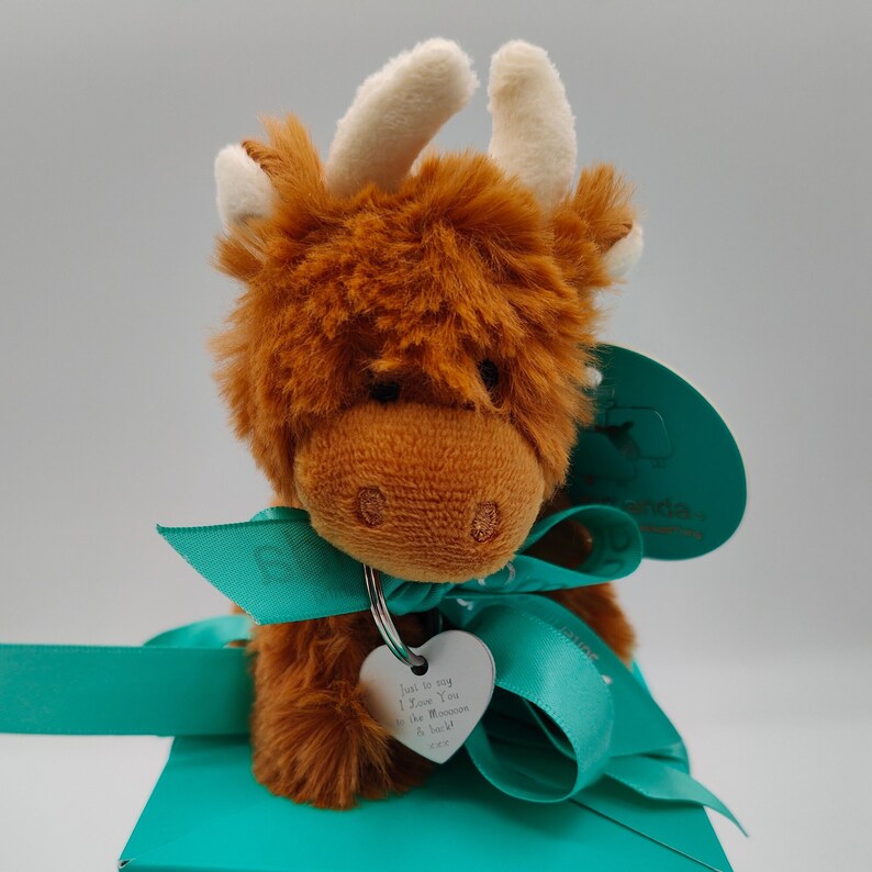 May include: A brown plush Highland Cow keychain with a teal ribbon and a silver heart-shaped tag that says "Just to say I love You the Moon and Back".