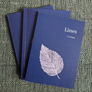 Op de afbeelding: Drie donkerblauwe paperbacks die op elkaar gestapeld zijn. Het bovenste boek heeft een wit bladontwerp en de titel "Lines" van C.C. Wilson in wit gedrukt.