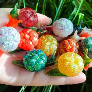 Pumpkin Mystery Snails