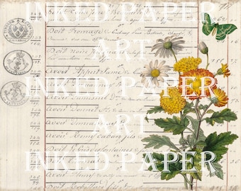 Antique French Botanical Ephemera, Digital Paper Kit (Download)