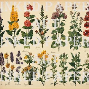 Antieke Franse botanische bloemen kieskeurige snijpunten brandpunten digitale papierkit kortstondige ongewenste dagboek plakboek Mixed Media Art downloaden