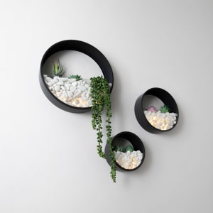 Wall Planters Circular Set - 3 Colours Inc Artificial Plants LED Lights Pearl White Stones