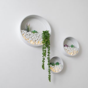 Wall Planters Circular Set 3 Colours Inc Artificial Plants LED Lights Pearl White Stones image 6