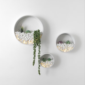 Wall Planters Circular Set 3 Colours Inc Artificial Plants LED Lights Pearl White Stones image 7