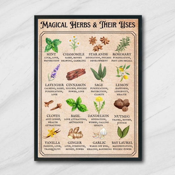 Magical Herbs Printable Poster | Digital Download | Kitchen Witch Decor | Witchy Wall Art | Witch plants & herbs art | witch aesthetic