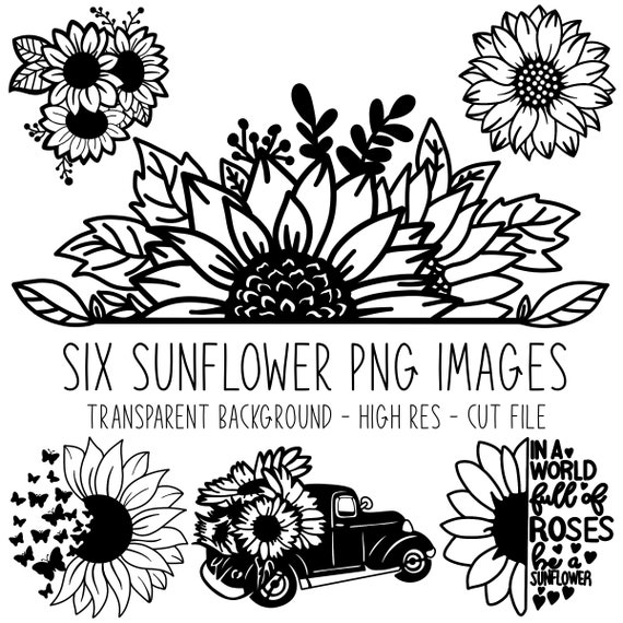 Sunflower PNG Images Clip Art Transparent Background | Etsy