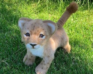 ANBOOR Leone Di Peluche Realistico 22 Cm - Morbido E Dolce, Per Bambini, Animali Selvatici, Decorazione Per Feste E Collezione