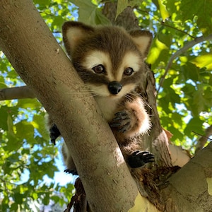 Raccoon plush toy, handmade raccoon, realistic stuffed animals, realistic raccoon, raccoon art doll, custom plush, plushie